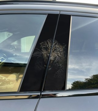 Naklejka na słupek auta JAGUAR Folia Premium GRATIS