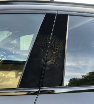 Naklejka na słupek auta Jaguar Folia Premium GRATIS
