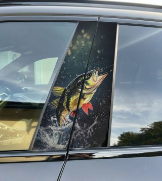 Naklejka na słupek auta Ryba OKOŃ Folia Premium GRATIS