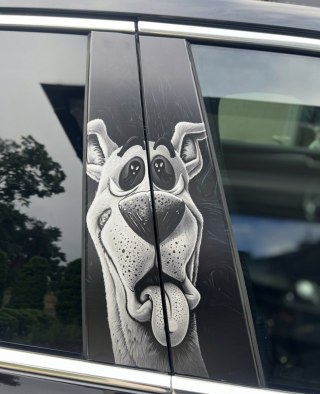 Naklejka na słupek auta Scooby Folia Premium GRATIS
