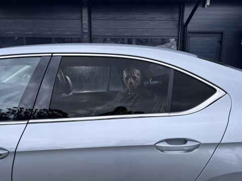 Who's Sitting Behind You? Naklejka na szybę Jason Voorhees One Way Vision